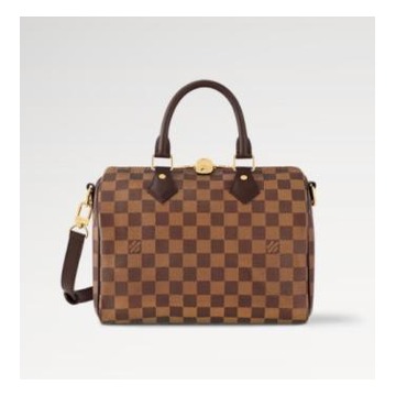 Louis Vuitton Speedy 25 Damier Ebene