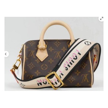 Louis Vuitton Speedy Bandoulière 20