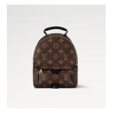 Louis Vuitton Palm Springs Mini Backpack